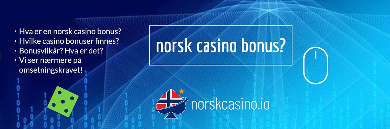 Infografikk for norsk casino bonus side. Bulletpoints forteller hva vi skal gå gjennom på denne siden